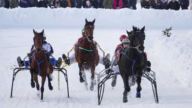 键进球与助 键进球与助